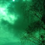 phoca_thumb_m_zatmn a zajci 41 Fotogalerie